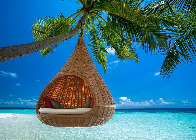 Tropican beach hammock