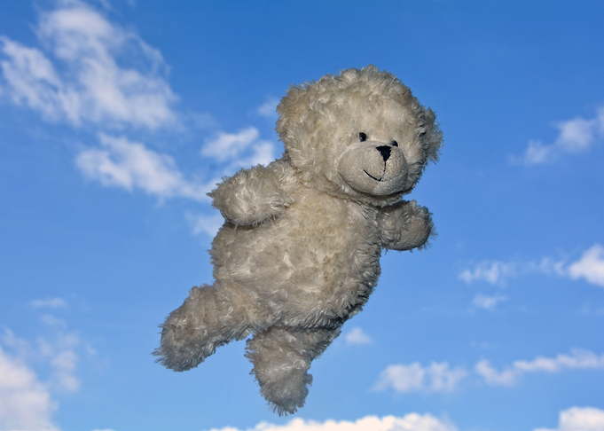 YayI can fly