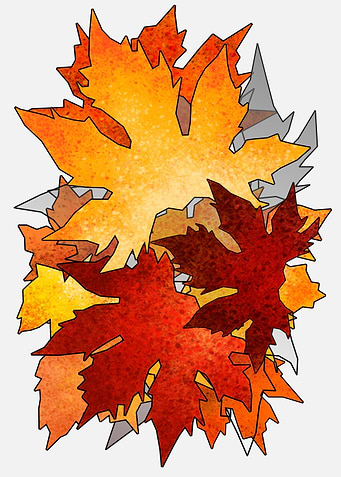 Autumn leaf colors 7
