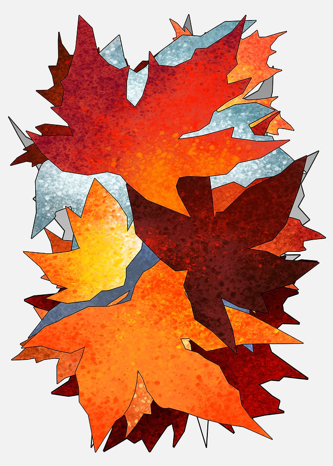 Autumn leaf colors 8