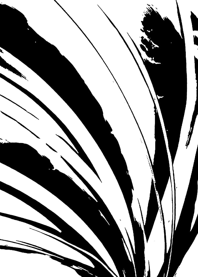 black white