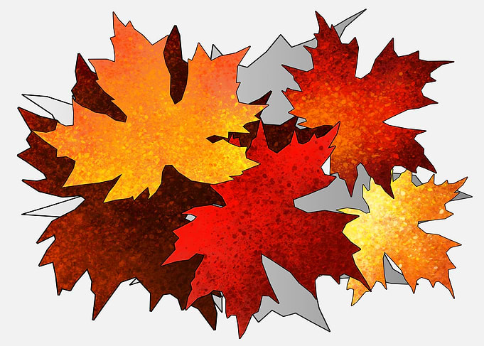 Autumn leaf colors 2