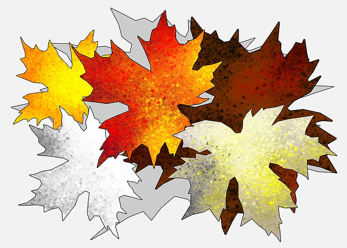 Autumn leaf colors 4