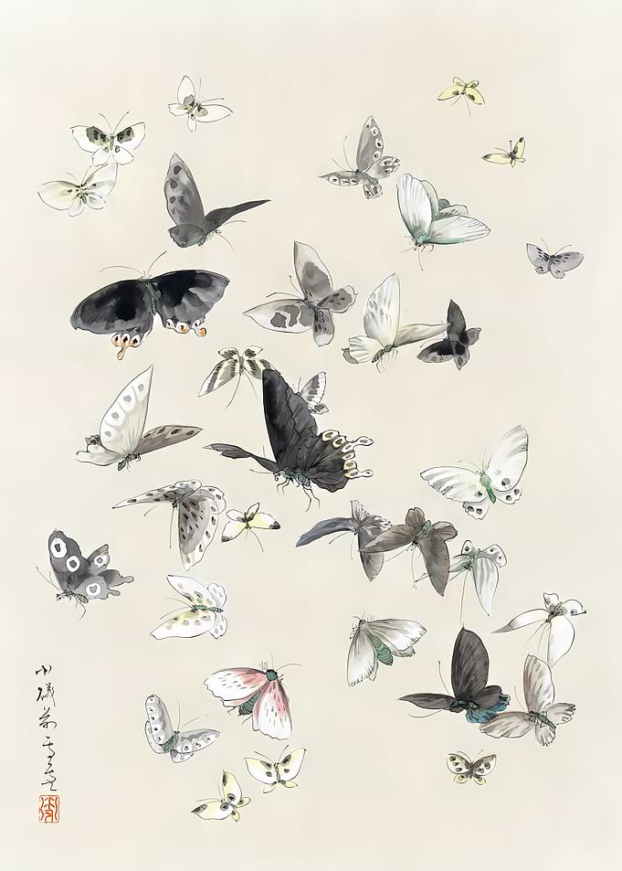 Butterflies Moths