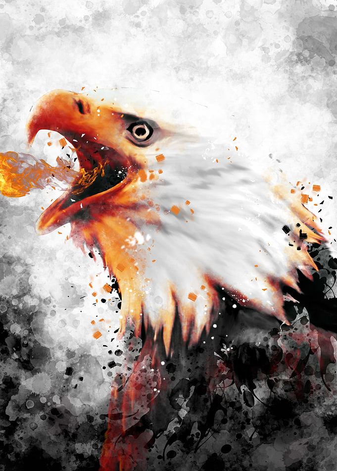 eagle fire