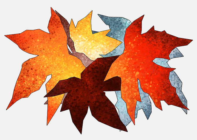 Autumn leaf colors 3