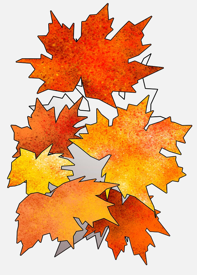 Autumn leaf colors 9