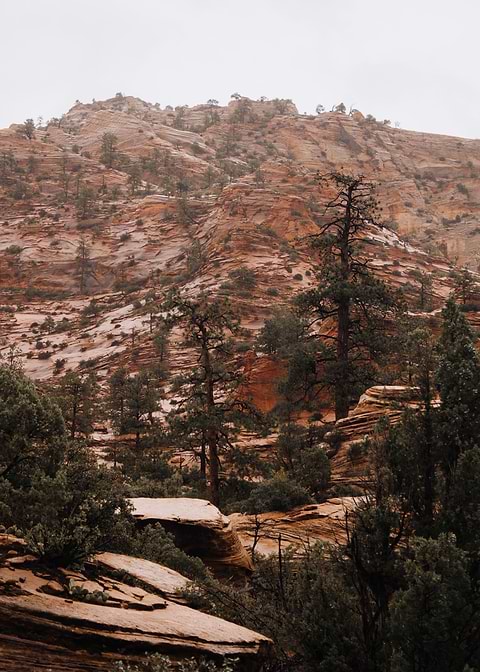 Nature at its finest