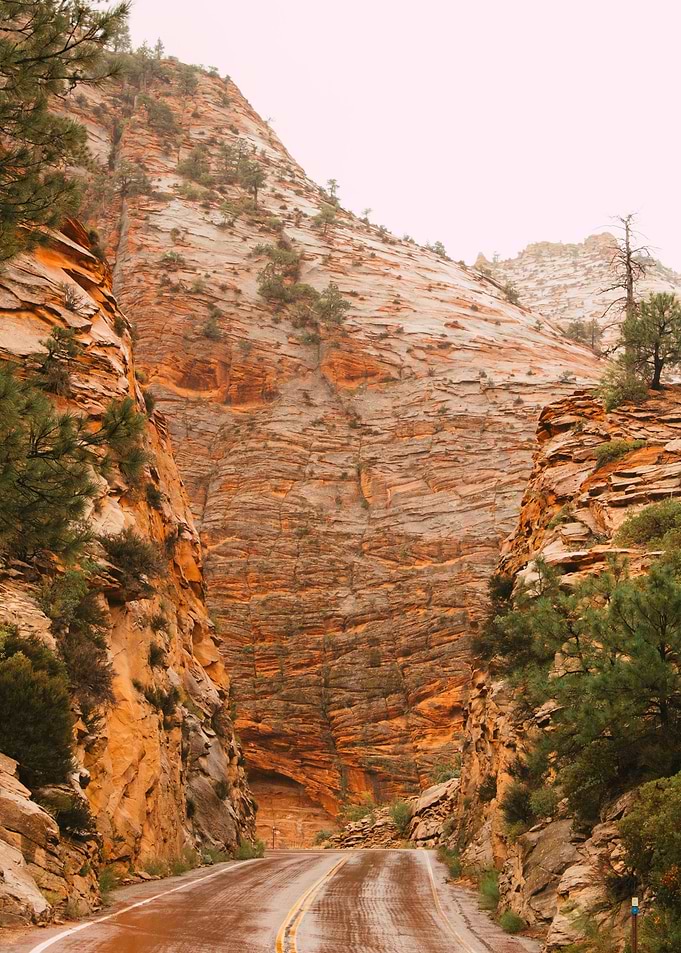 Zions Sandstone Majesty