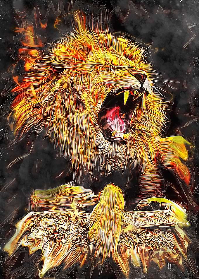 lion illustration