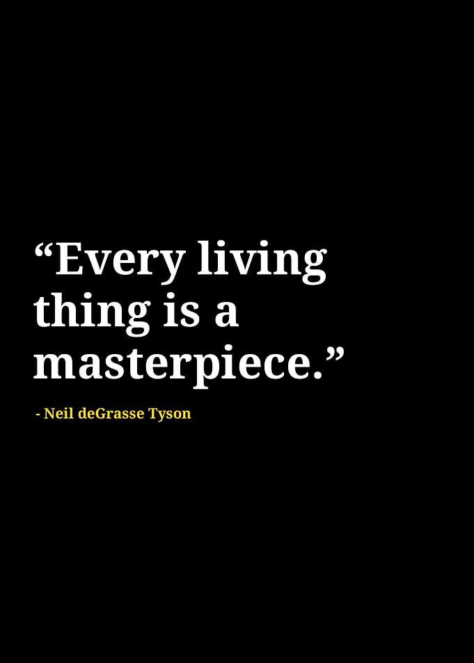 Neil degrasse Tyson quotes