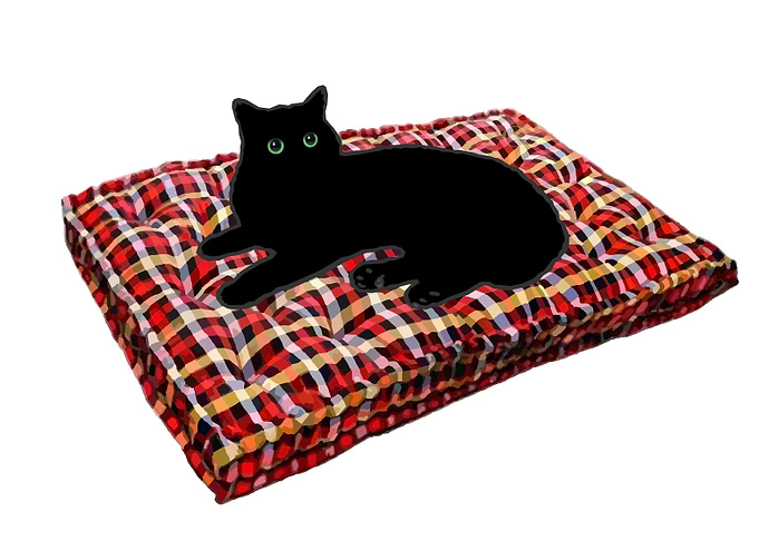 Cat on Mettress