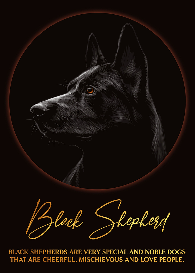 Black Shepherd