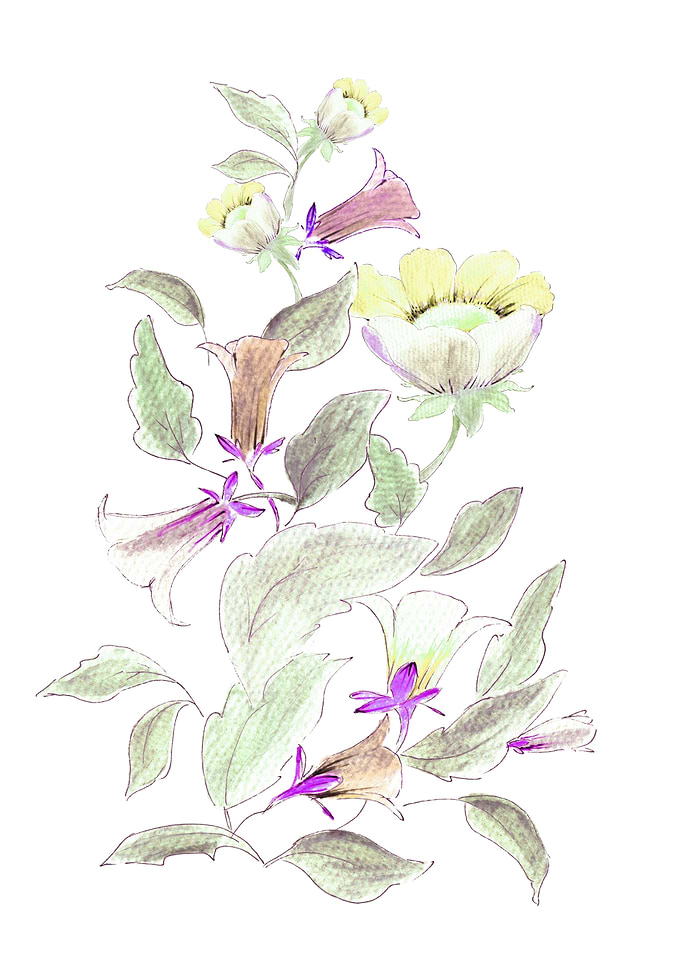 some painted flowers s 5d
