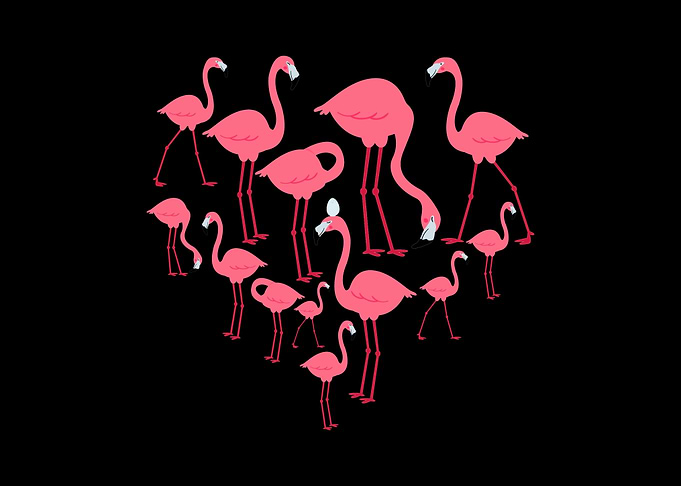 flamingo