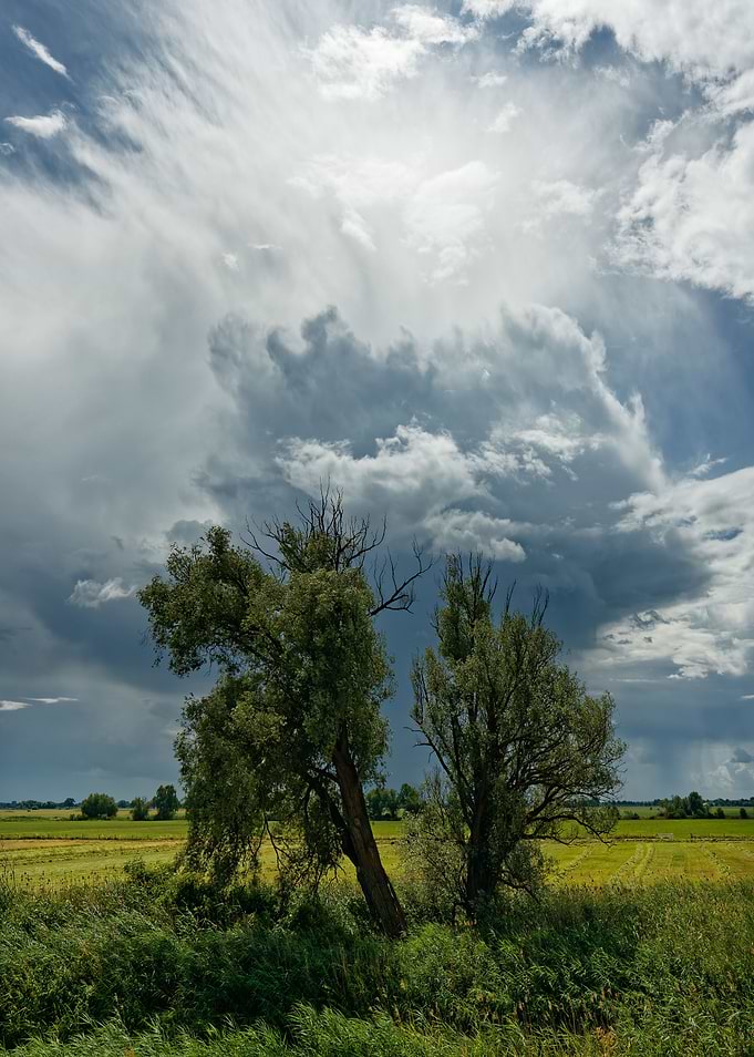 Thunderstorm Atmosphere