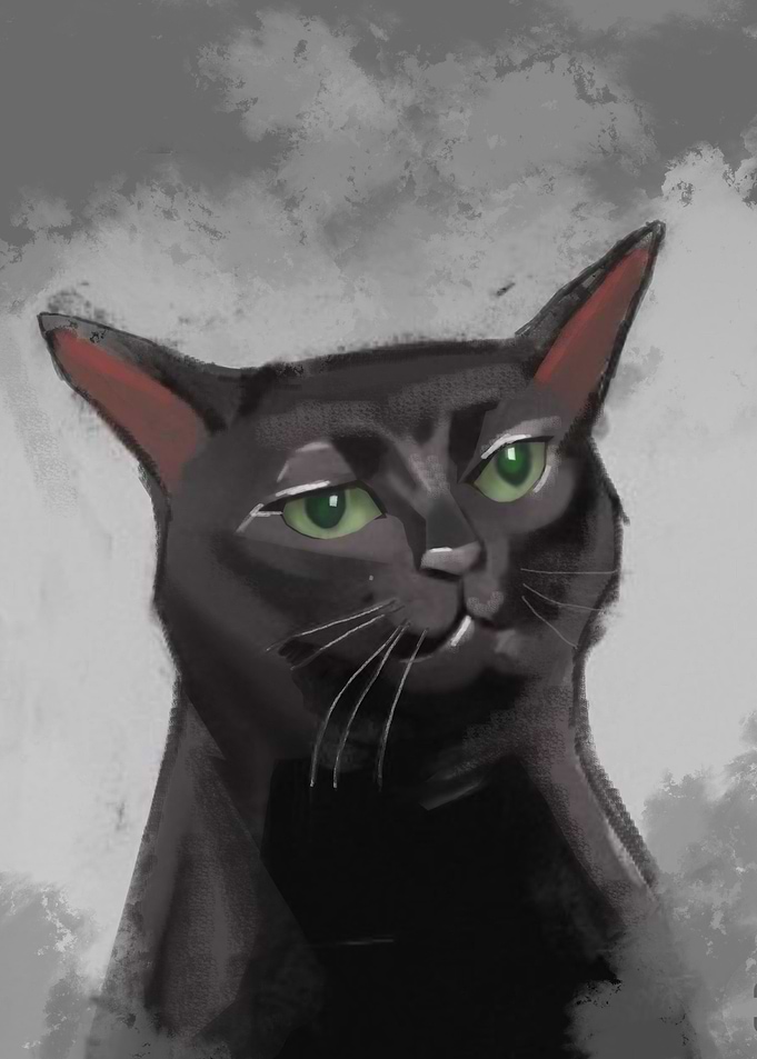 zone out cat