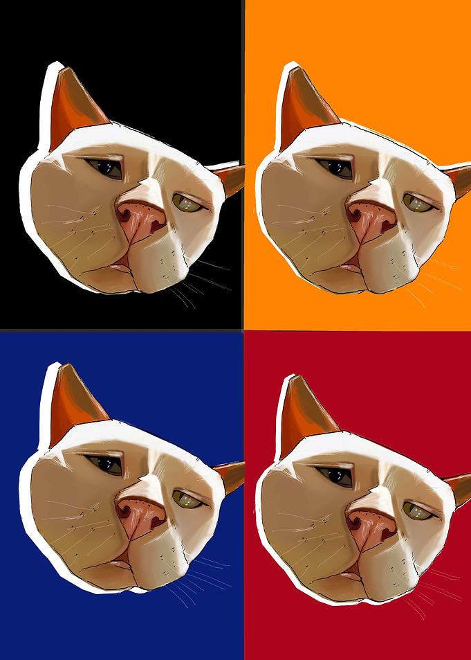 stupid white cat