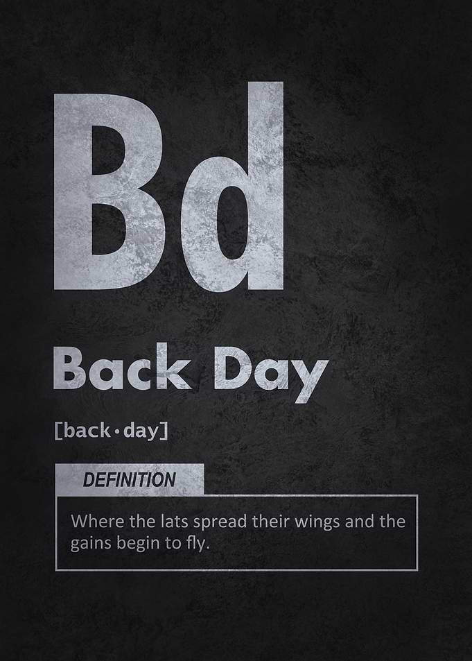 Back Day Funny Workout