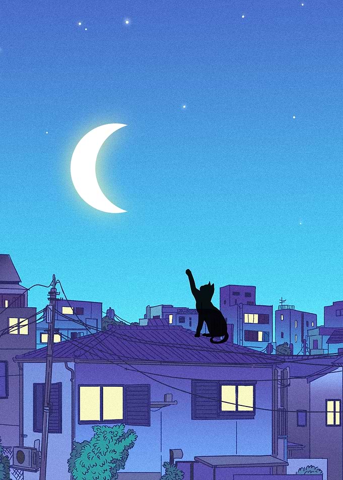 Fantasy Cat