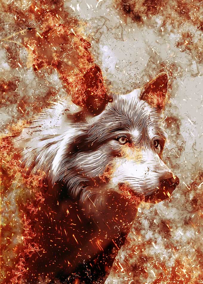 THE LAST WOLF