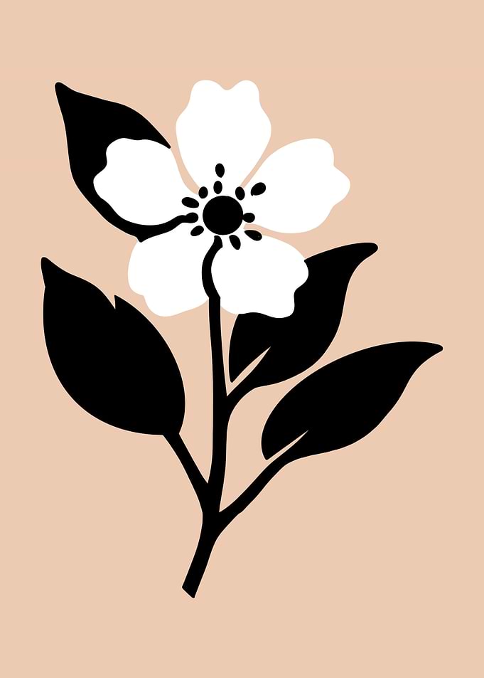Jasmine Flower
