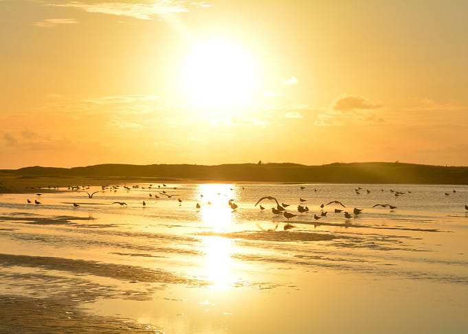 Sunset at low tide
