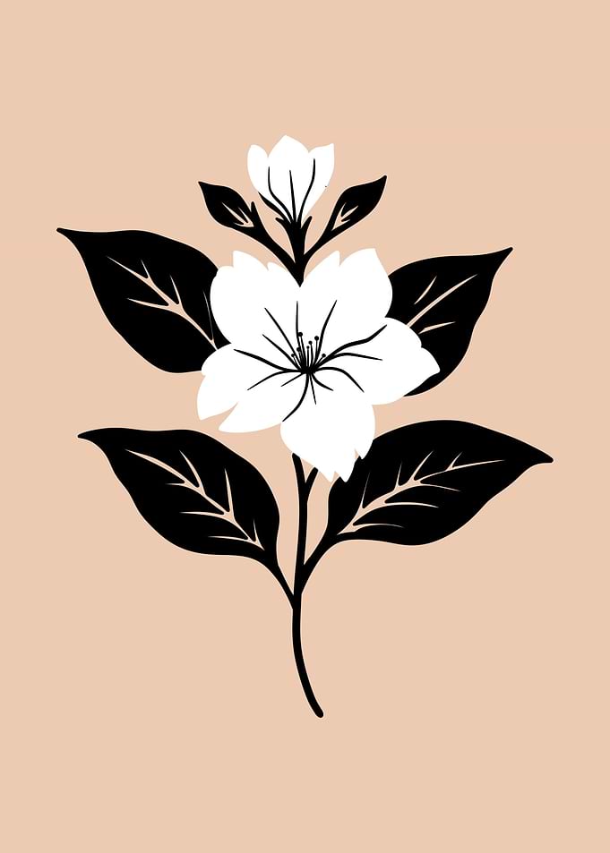 Jasmine Flower