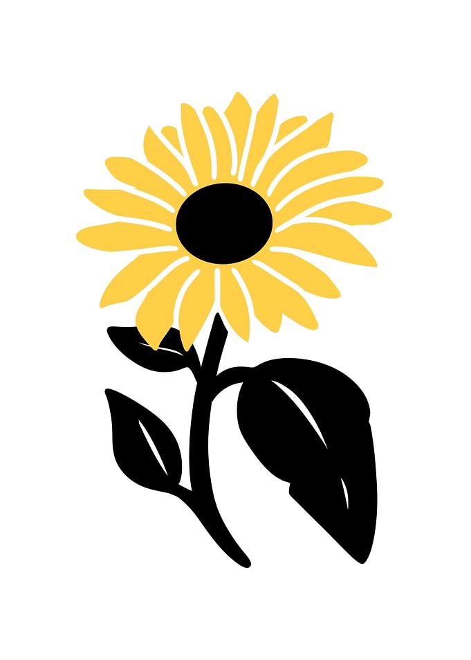 Sun Flower