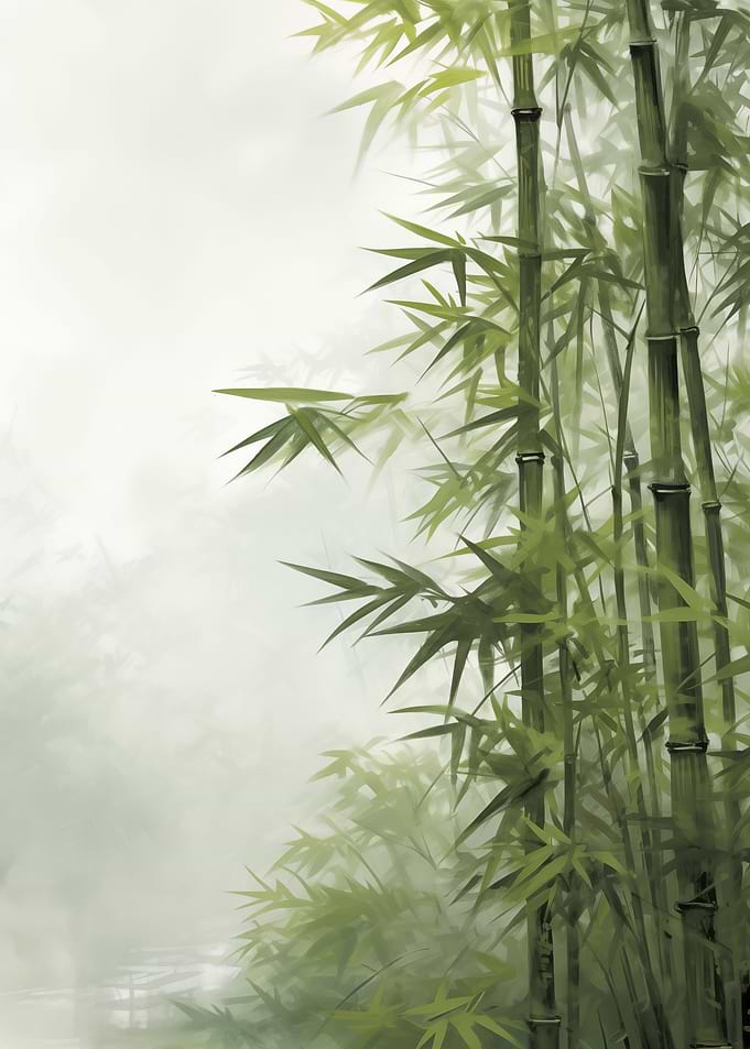 Japanese Bamboo Nature