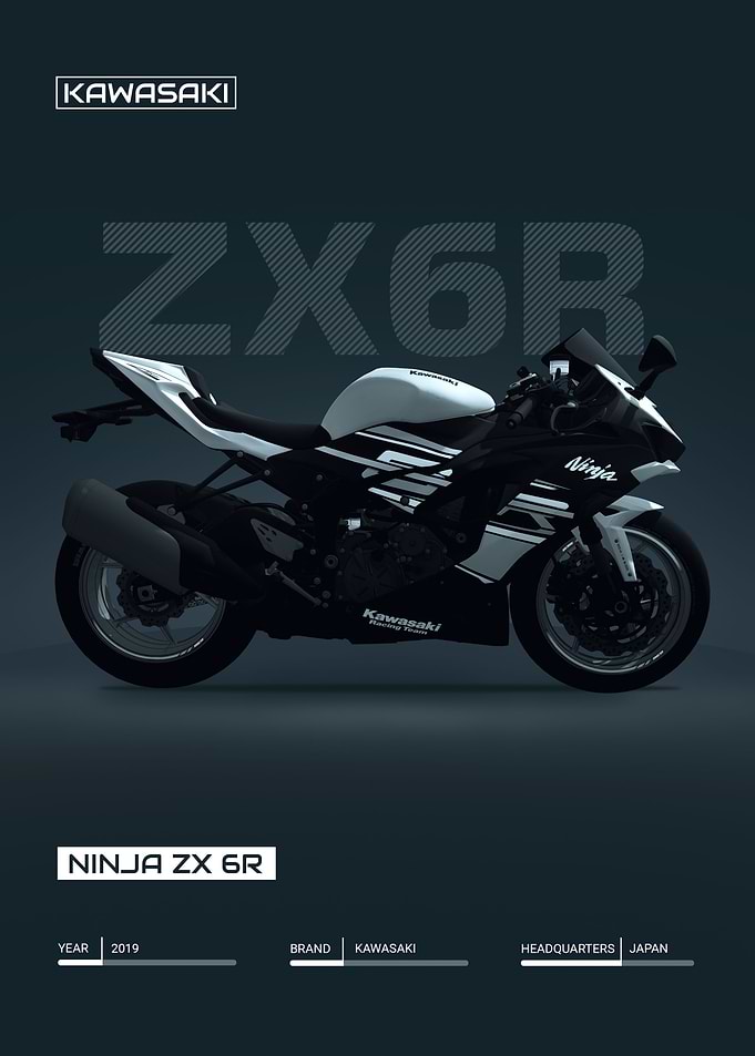 Kawasaki Ninja ZX6R Bike