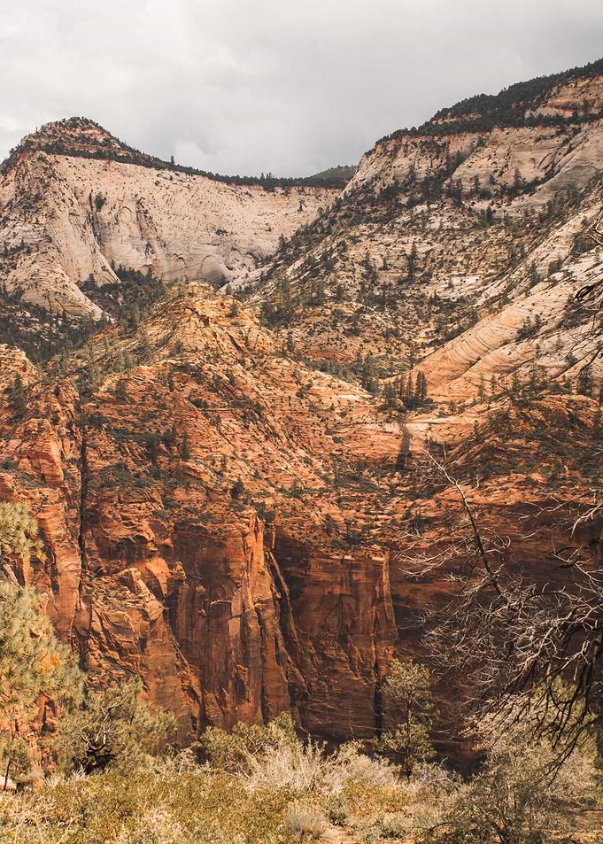 Canyon Ascent