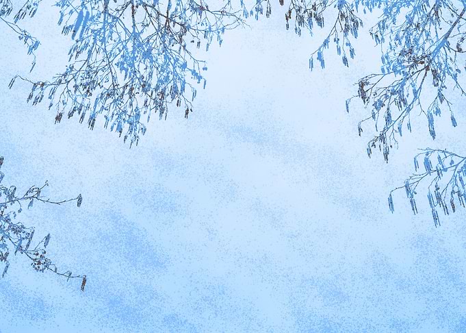 Tree branches