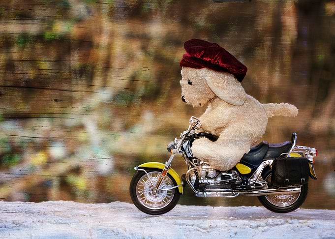 The biker dog
