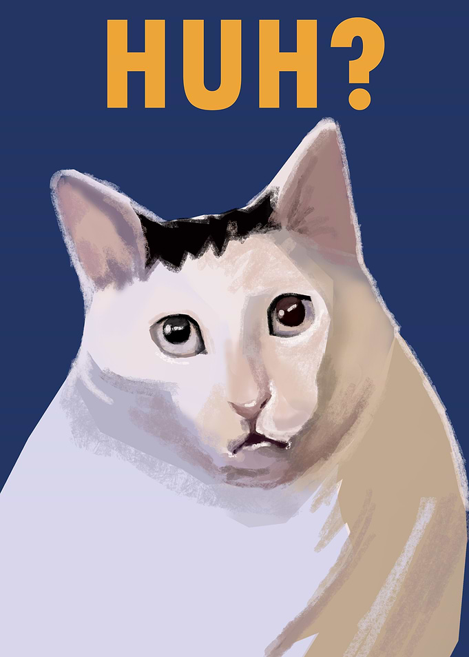 confused white cat