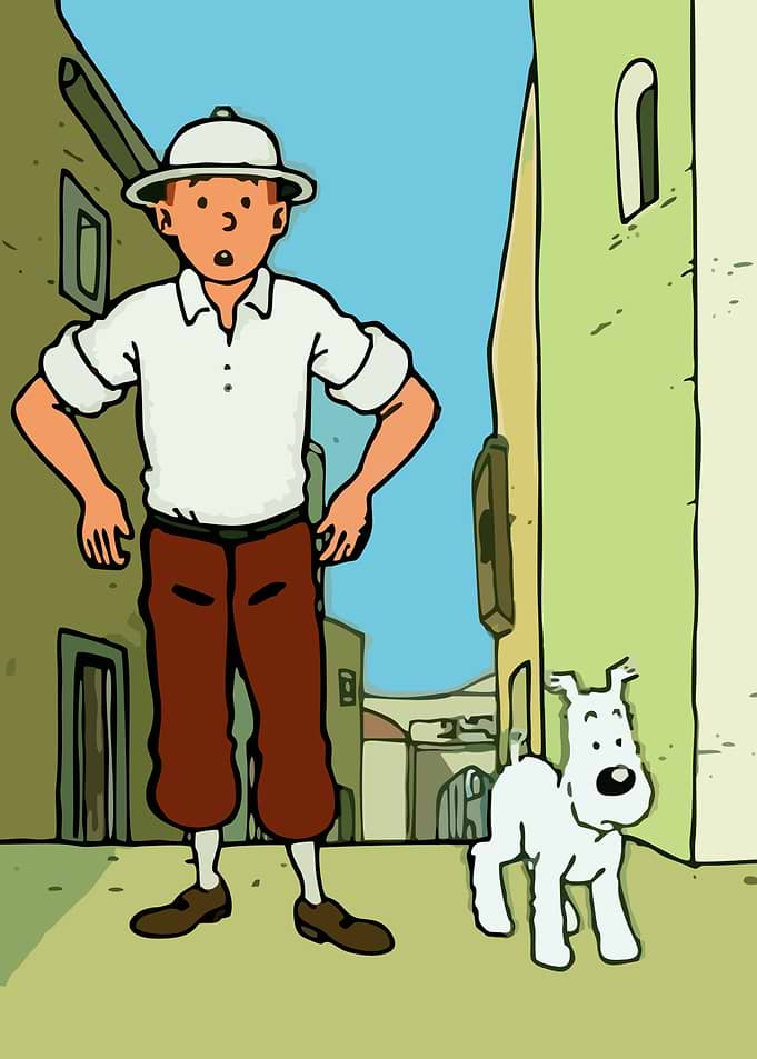 the adventure of tin tin