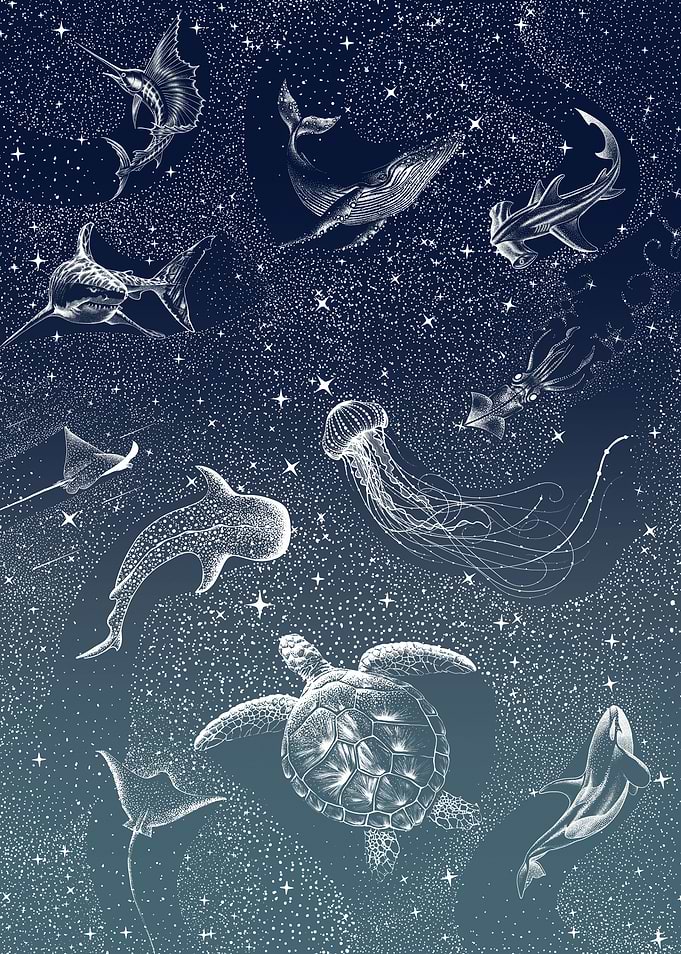Cosmic Ocean Turquoise