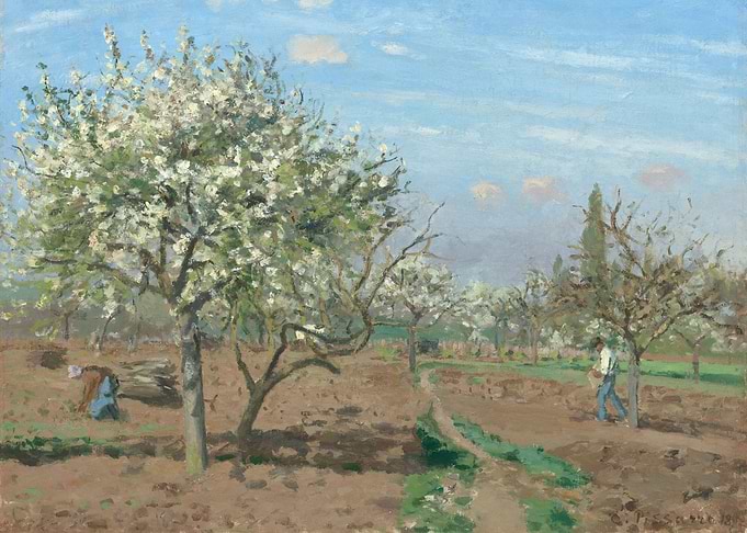 Verger en fleurs