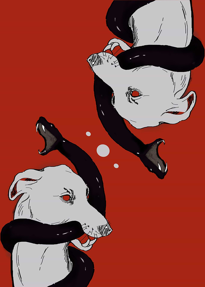 dog and snake