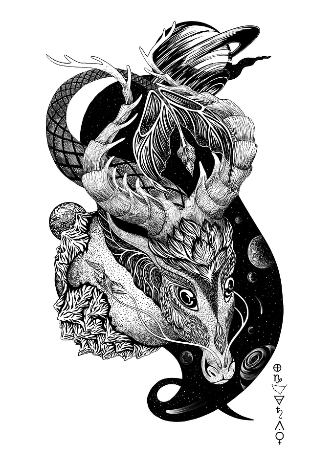 Capricorn zodiac sign
