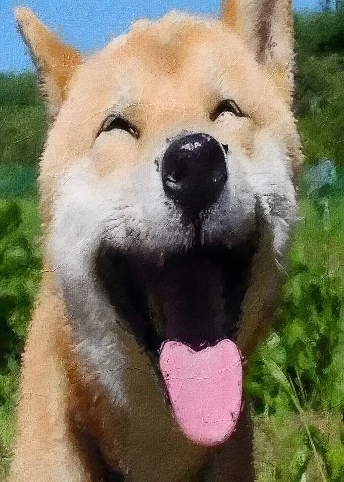 Happy Doge Meme