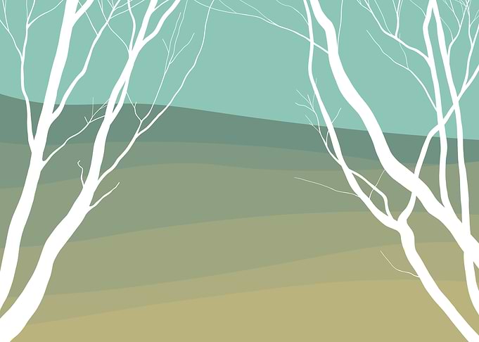 white trees 4