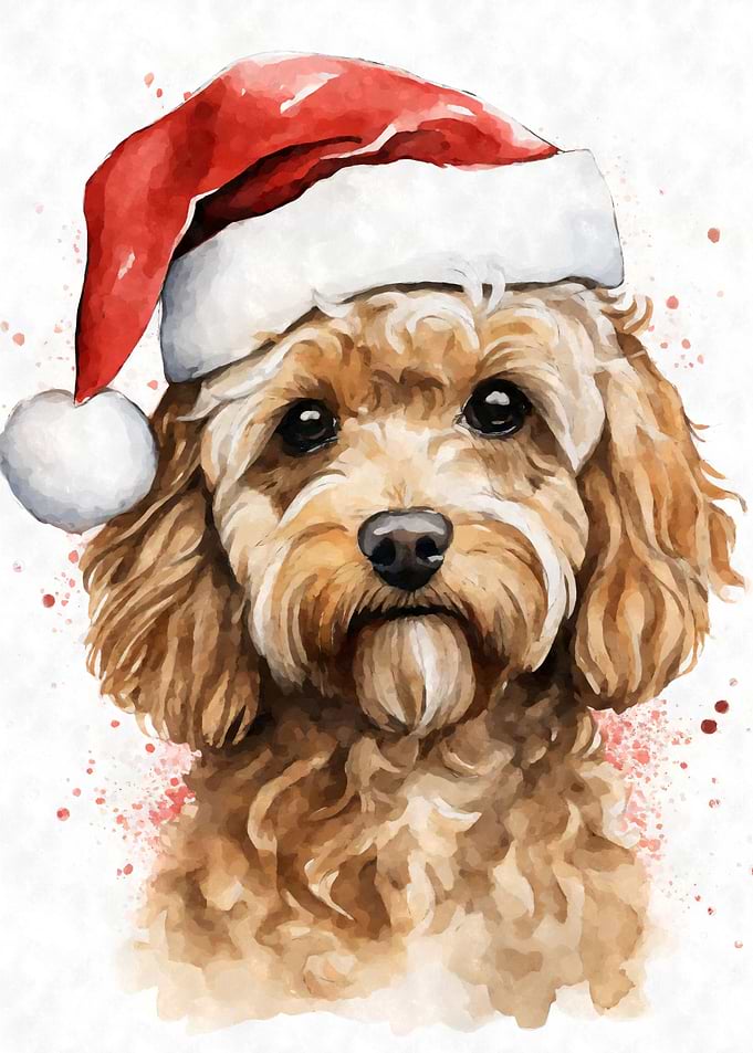 Cavoodle Dog Santa Hat