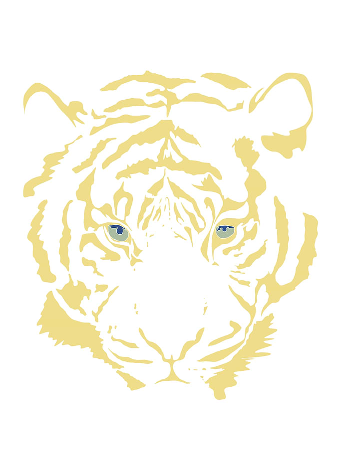 A Golden Blue Eyed Tiger