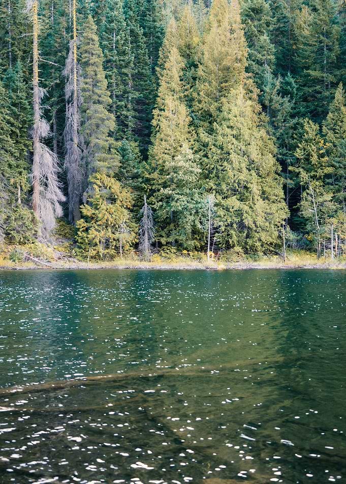 Alpine Lake PNW Landscape