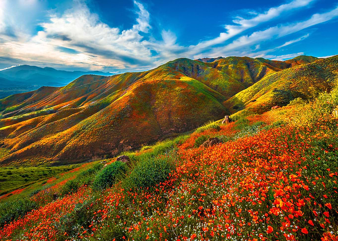 Colorful spring mountain