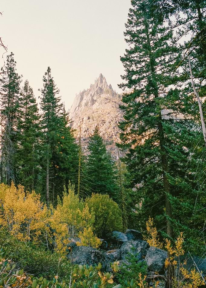 PNW Mountains and Forest