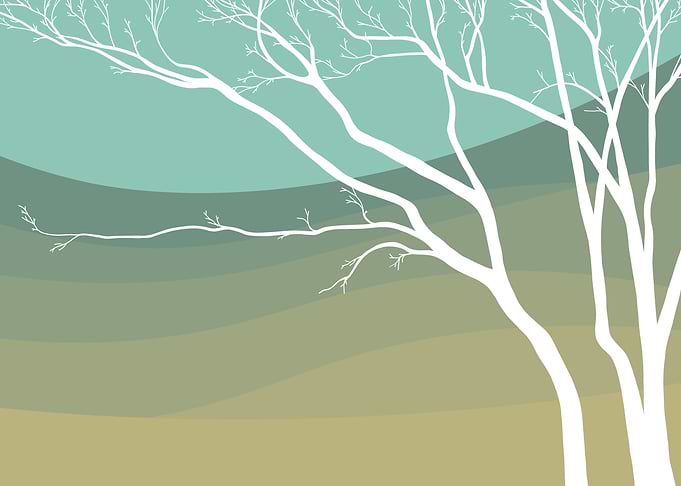 white trees 6