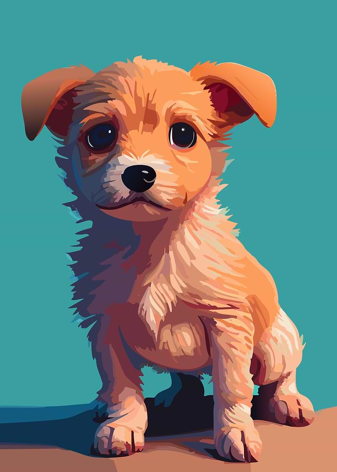 Cute Puppy