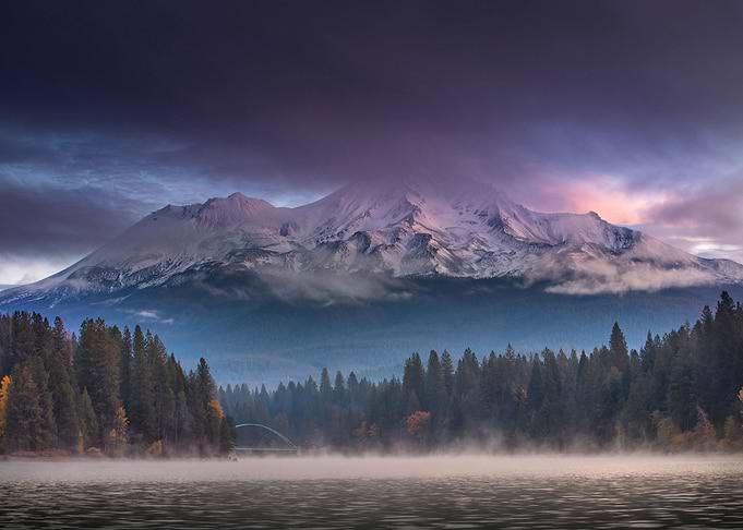 Misty autumn forest